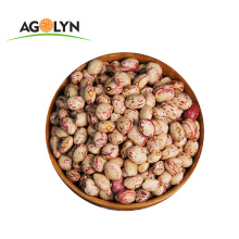 AGOLYN High Protein Light Speckled Flower Kidney Beans